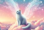 Angelic Cat Names