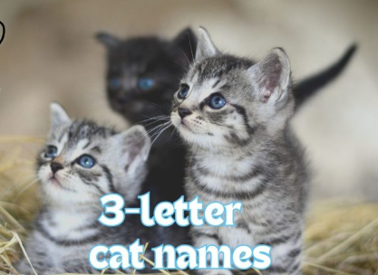 3-Letter Cat Names