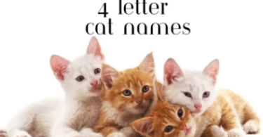 4-Letter Cat Names