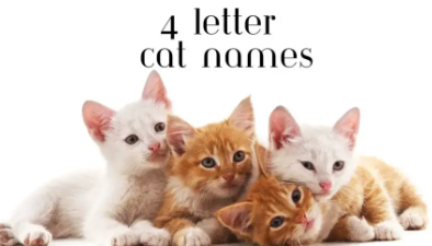 4-Letter Cat Names