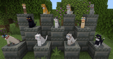 Minecraft Cat Names