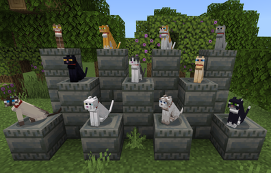 Minecraft Cat Names