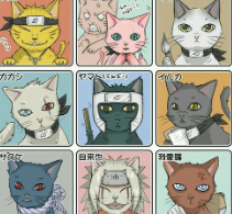 Naruto Cat Names