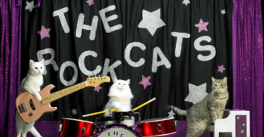 Rock Band Cat Names