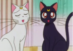 Sailor Moon Cat Names