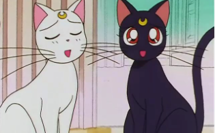 Sailor Moon Cat Names