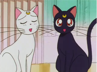 Sailor Moon Cat Names