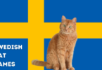 Swedish Cat Names