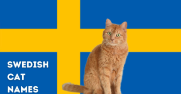 Swedish Cat Names