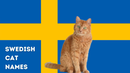 Swedish Cat Names