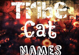 Tribe Cat Names