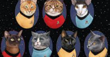 star trek cat names