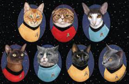 star trek cat names