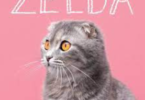 zelda cat names