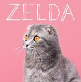 zelda cat names