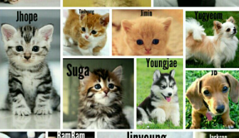 BTS Cat Names