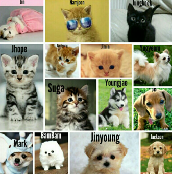 BTS Cat Names