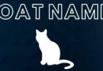 Cat Boat Names