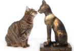 Egyptian Cat Names