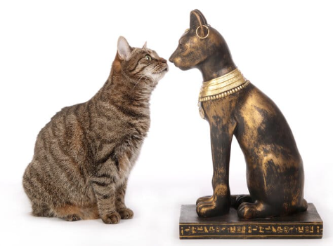 Egyptian Cat Names