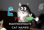 Inappropriate Cat Names