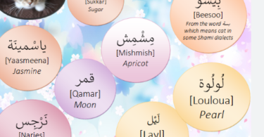 Islamic Cat Names