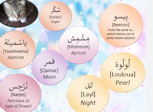 Islamic Cat Names