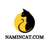 Muslim Cat Names: A Comprehensive Guide - namingcat