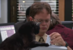 the office cat names