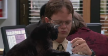 the office cat names