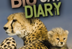 Big Cat Diary Cheetah Names