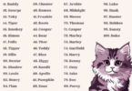 Hilarious Kitten Names