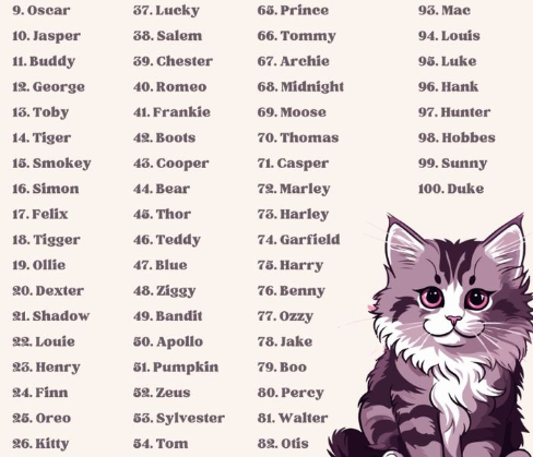 Hilarious Kitten Names