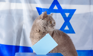 Israeli cat names