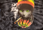 Rasta Cat Names