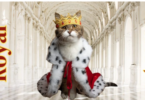 Royal Cat Names