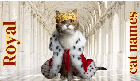 Royal Cat Names