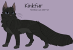 ShadowClan Cat Names