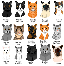 bread names for cats