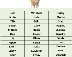 themes for naming kittens