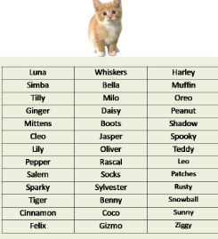 themes for naming kittens