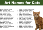 Art Names For Cats