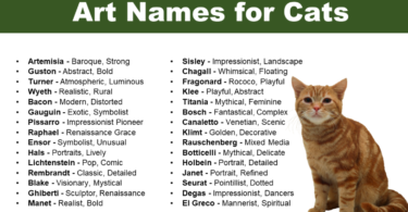 Art Names For Cats