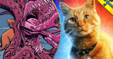 Captain Marvel Cat Name