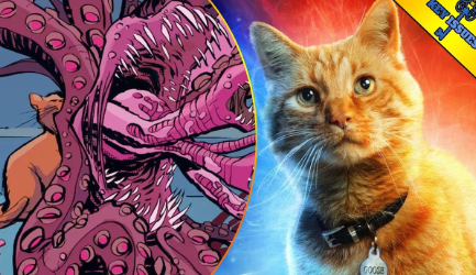 Captain Marvel Cat Name