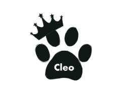 Cat Cleo name