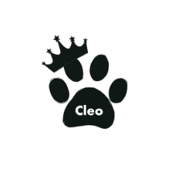 Cat Cleo name