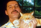 Freddie Mercury's Cats Names