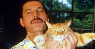 Freddie Mercury's Cats Names