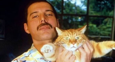 Freddie Mercury's Cats Names